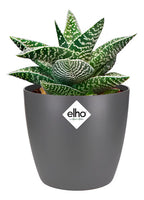 Maceta Brussels Round Mini 9,5cm Elho Negro Brussels Round Mini