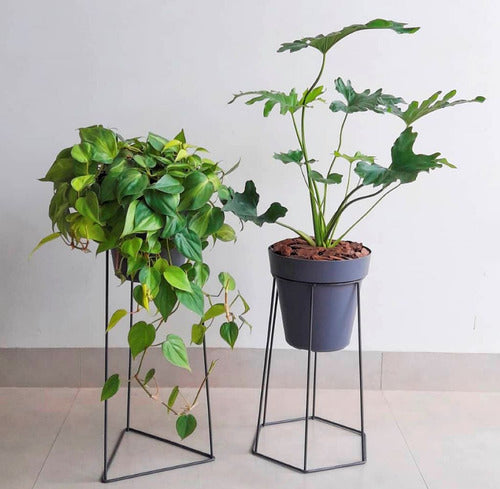 Maceta Sampa 16 × 14cm Vasart Negro