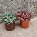 Macetero De Aluminio Vasart 12 × 12cm Cobre Aluminio