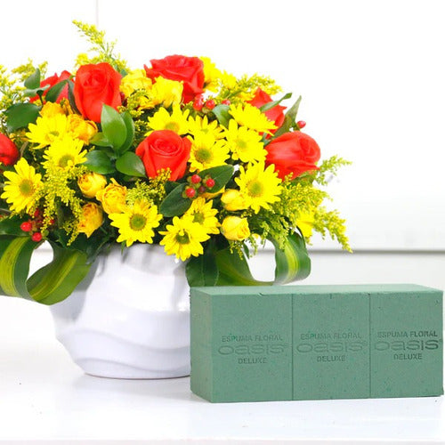 Espuma Floral Oasis Standard