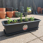 Jardinera De Plástico 65cm Gemplast Con Plato Incluido Negro Babilonia