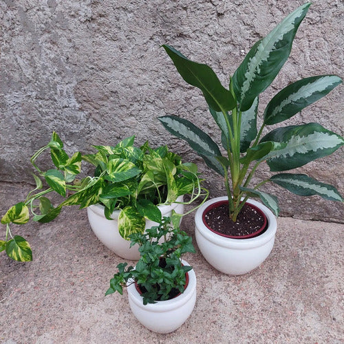 Macetero De Cerámica Interior Roma Tamaño Mediano Blanco No 2