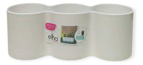 Tunitas, Crasas Mini + Maceta Brussels For Diamond Trio