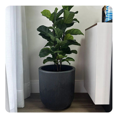 Maceta Vasart Sp27 45 × 45cm Con Plato Incluido Negro Antiguo Sp27