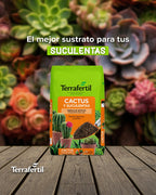 Sustrato Para Cactus Y Suculentas Terrafertil 5 Litros