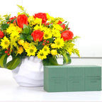 Espuma Floral Oasis Standard Caja De 48 Unidades