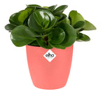 Maceta Brussels Round Mini 9,5cm Elho Rosa Brussels Round Mini