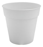 Maceta Para Orquídea Artevasi Madagascar 19cm Transparente Madagascar