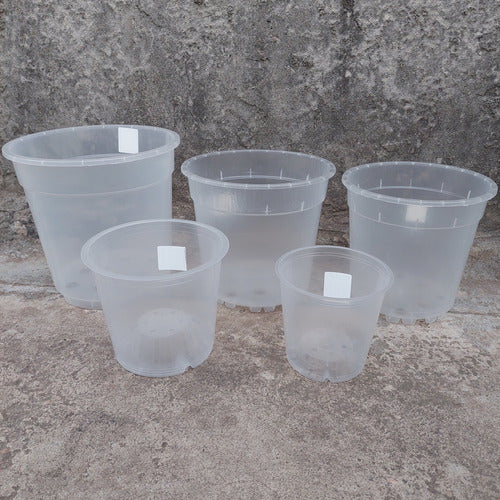 Maceta Para Orquídea Florus 15cm Transparente Orchidpot