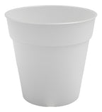 Maceta Para Orquídea Artevasi Madagascar 13cm Transparente Madagascar