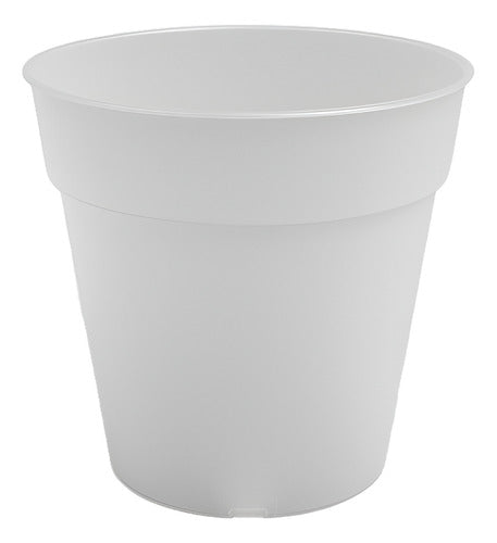 Maceta Para Orquídea Artevasi Madagascar 13cm Transparente Madagascar