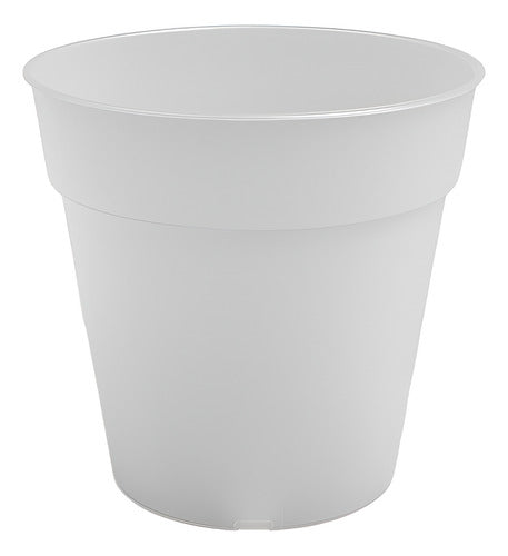 Maceta Para Orquídea Artevasi Madagascar 15cm Transparente Madagascar