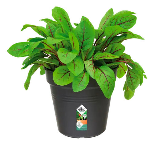 Maceta Green Basics Growpot 13cm Elho Negro