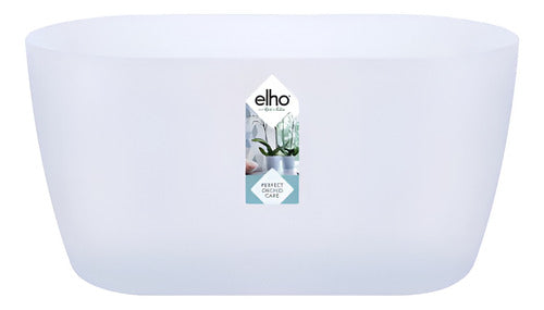 Orquídeas Phalaenopsis P12 + Maceta Brussels Orchid Duo Elho