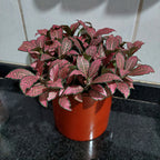 Macetero De Aluminio Vasart 12 × 12cm Cobre Aluminio