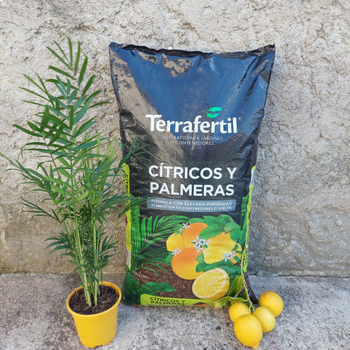Sustrato Para Cítricos Y Palmeras Terrafertil 20 Litros