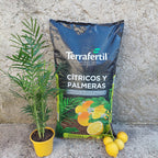 Sustrato Para Cítricos Y Palmeras Terrafertil 20 Litros