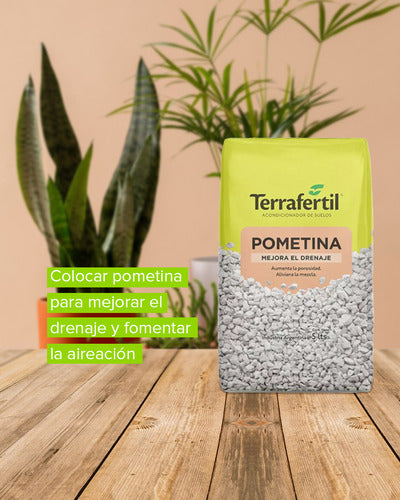 Pometina / Piedra Pómez Terrafértil 5 Litros