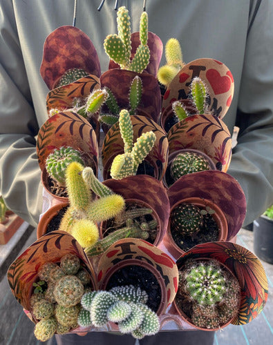 Bandeja De Cactus Pote 6cm × 15 Unidades