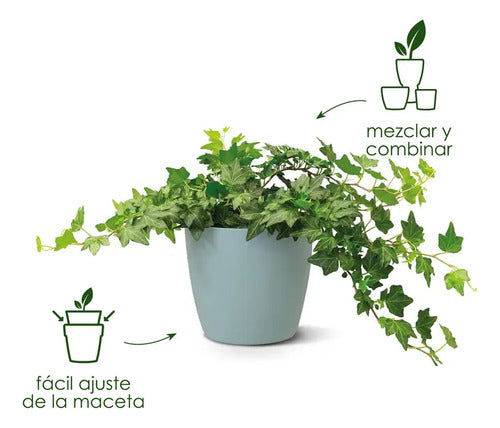 Maceta Brussels Round 16cm Elho Negro Brussels Round