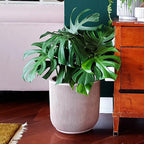 Maceta Vasart Sp27 54 × 54cm Con Plato Incluido Blanco Artstone Sp27