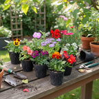 Florales De Estación × 12 Unidades