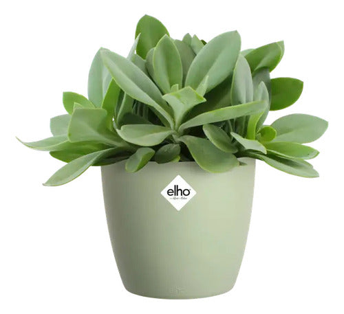 Maceta Brussels Round 16cm Elho Verde Claro Brussels Round