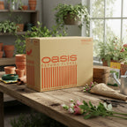 Espuma Floral Oasis Standard Caja De 48 Unidades