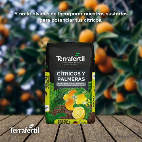 Sustrato Para Cítricos Y Palmeras Terrafertil 20 Litros
