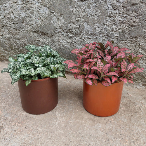 Macetero De Aluminio Vasart 12 × 12cm Cobre Aluminio