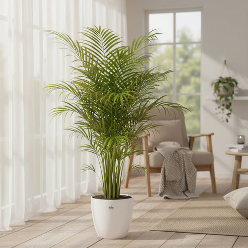 Maceta Brussels Round 16cm Elho Blanco Brussels Round