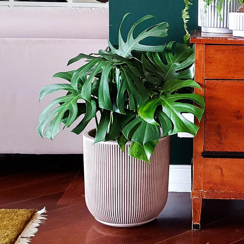 Maceta Vasart Sp27 29 × 29cm Con Plato Incuido