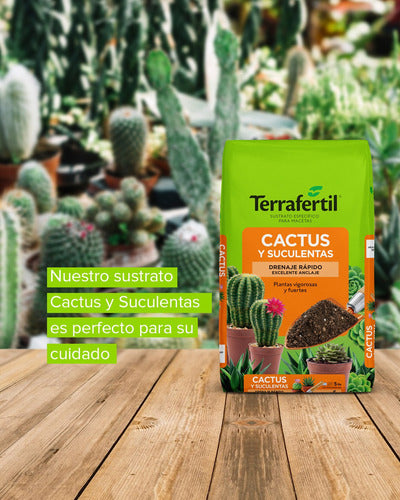 Sustrato Para Cactus Y Suculentas Terrafertil 5 Litros