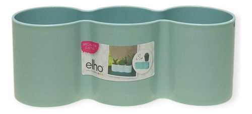 Tunitas, Crasas Mini + Maceta Brussels For Diamond Trio