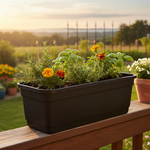 Jardinera De Plástico 65cm Gemplast Con Plato Incluido Negro Babilonia