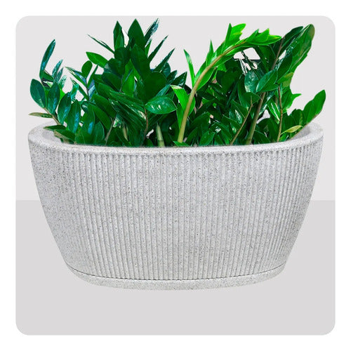 Maceta Jardinera Vasart Sp27 51 × 23cm Con Plato Incluido Blanco Artstone