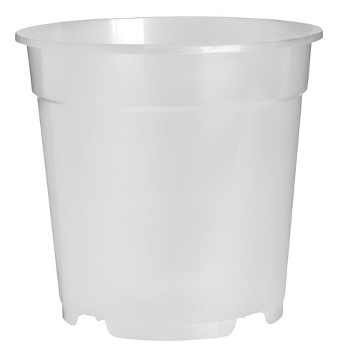 Maceta Para Orquídea Florus 12cm Transparente Orchidpot