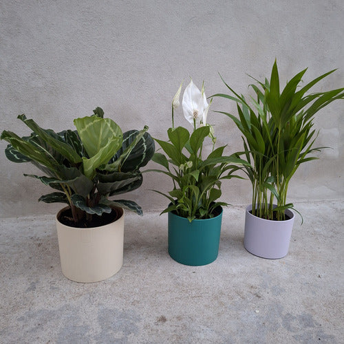 Set De Maceteros Lex Pott 14cm Elho Crema Lex Pott