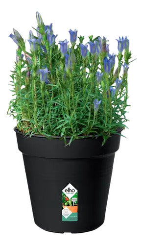 Maceta Green Basics Growpot 17cm Elho Negro